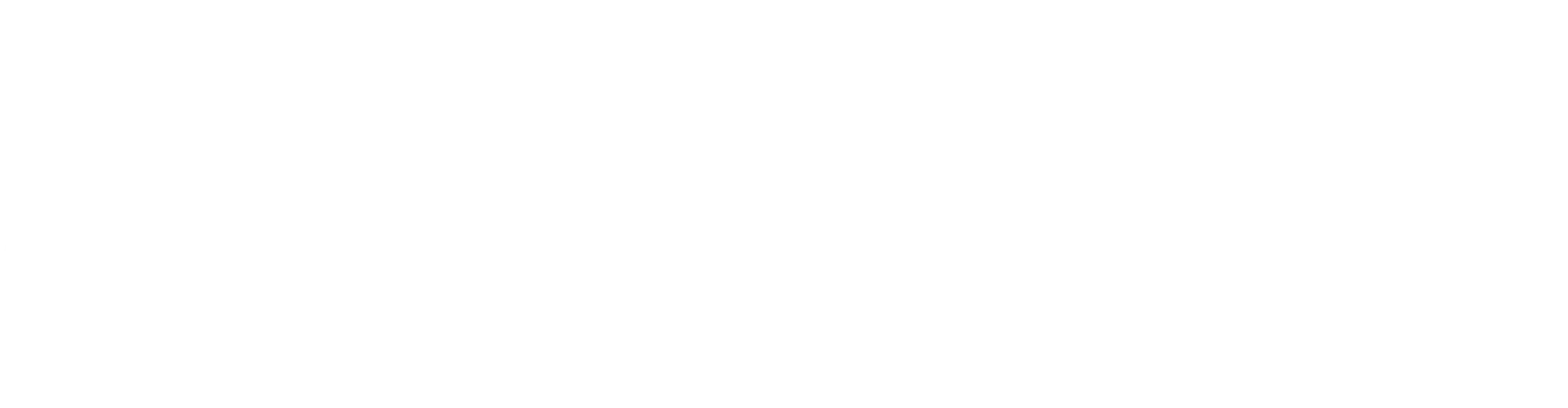 Change Maker's Choose logo of a white turtle on a grey background